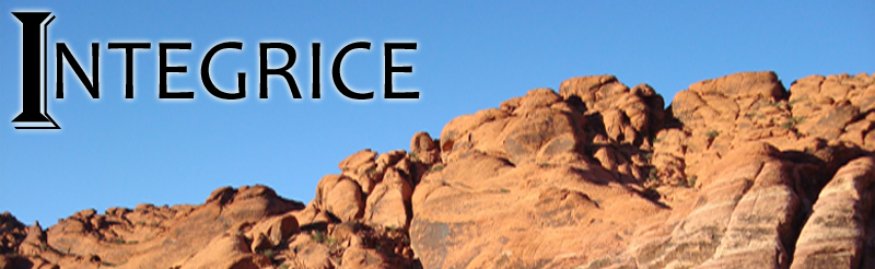 Integrice: Technology Services and Consulting.